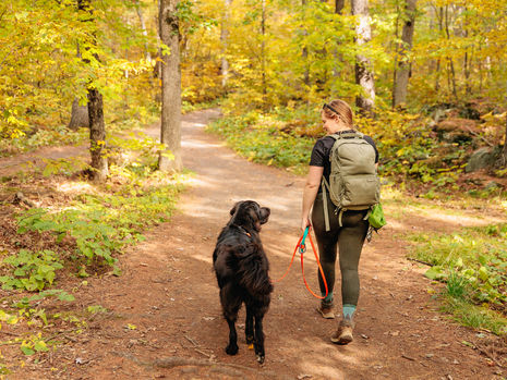 A woman and her black dog walk through a fall woods together