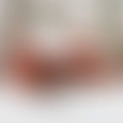 Whether it’s watching snow fall from the warmth of a cabin or sharing the trail with your favorite hiking buddy, a winter cabin getaway with your dog is the perfect way to unwind and enjoy the magic of the season.