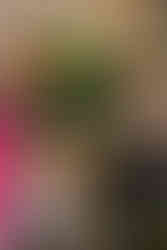 Behind the scenes photo from tonkadale foster photo event