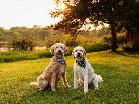 Dougie & Russell's Minnesota Summer Lakeside Photo Session