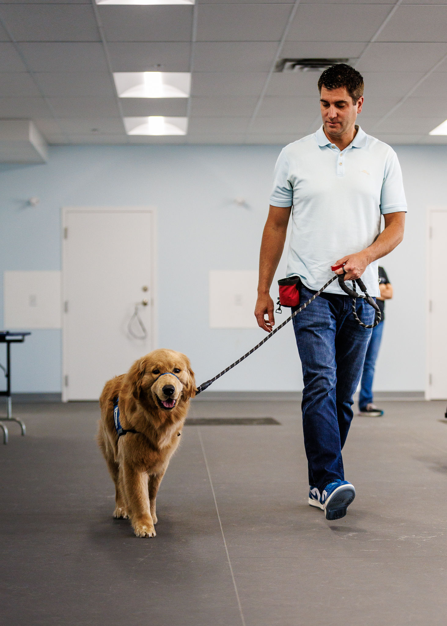 A golden retriever in a service dog vest practices commands.