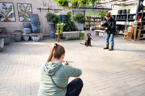 Behind the scenes photo from tonkadale foster photo event