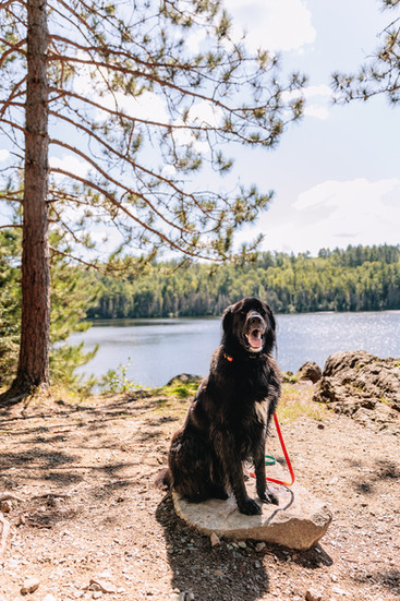 Bass & Dry Lake Trail