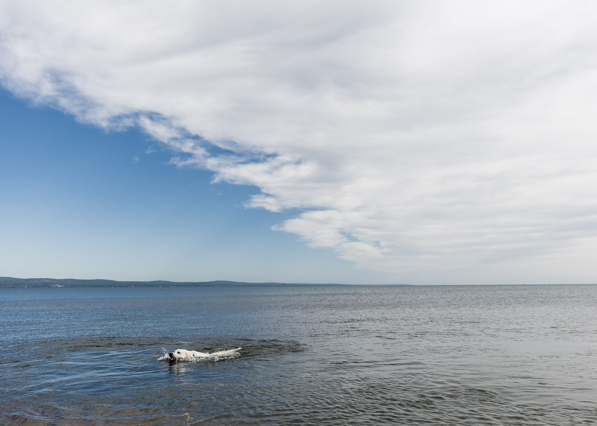 A woman and her white dog enjoy a moment together on the beach