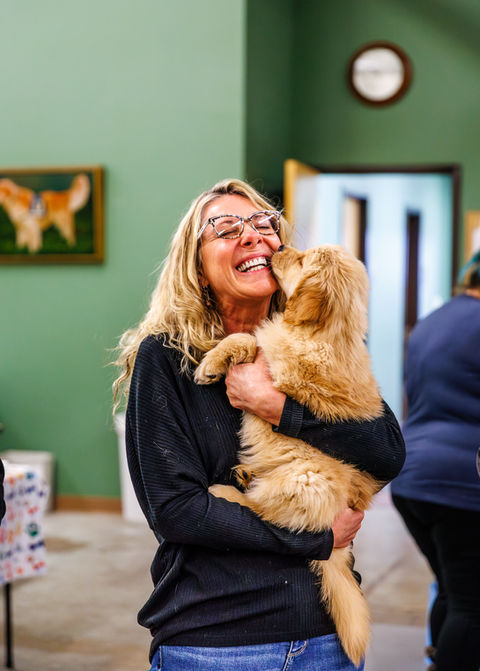 A golden retriever puppy being held by its foster home trainer.