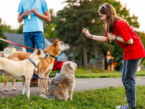 Canines for Clean Water: Water Quality Education for Pet Owners