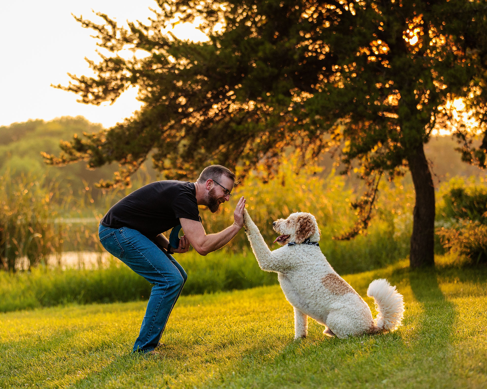 A dog and his dog dad high five
