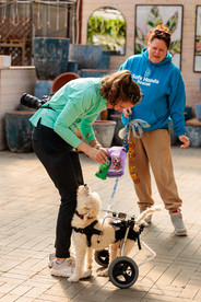 Behind the scenes photo from tonkadale foster photo event