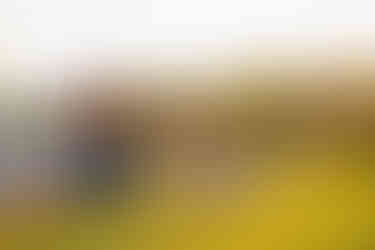 A family enjoys their evening by the lake together