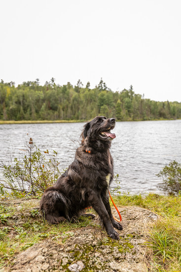 Blackstone, Secret, and Ennis Lake Trails
