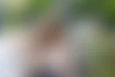 Behind the scenes photo from tonkadale foster photo event