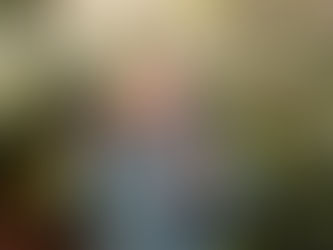 Smiling person in green sweater holding a small dog in a forest. Lush greenery surrounds them.