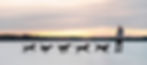 3F0A8710-Edit-Composite.jpg