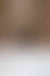 winter dog photography minnesota