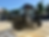Thumbnail: 2022 CUSHMAN HAULER 1200 EFI GAS GOLF CART $7,995