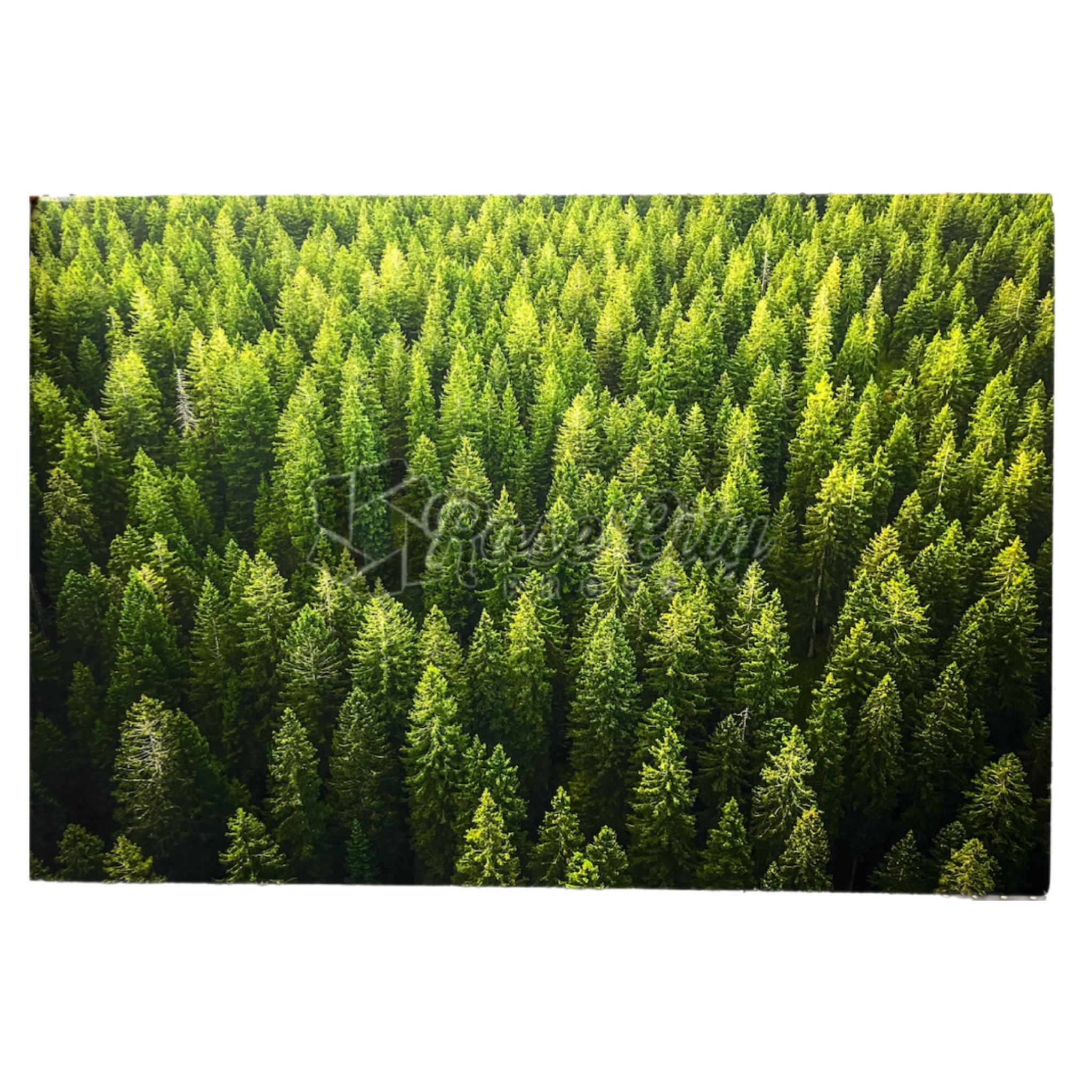 36"W X 24"H - #2C006