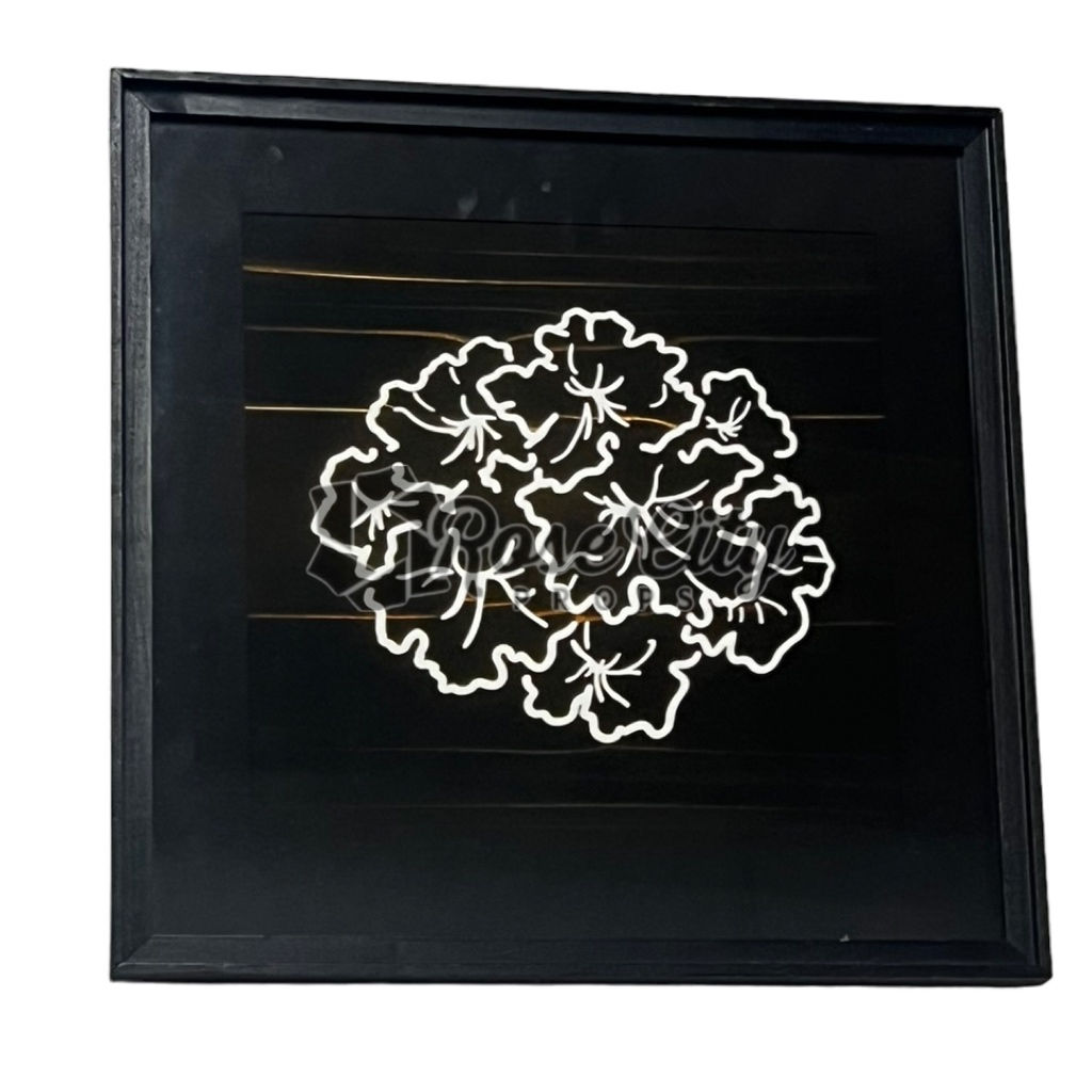 20" X 20" - DISP-C007