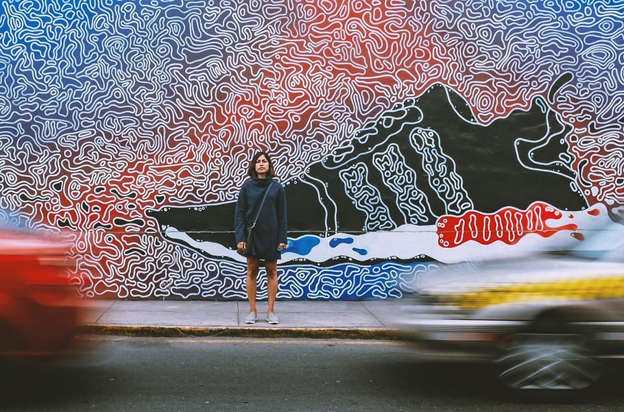 sneaker murale