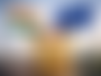 India and EU Commit to Five-Year 'Most Favoured Nation' Obligations under FTA