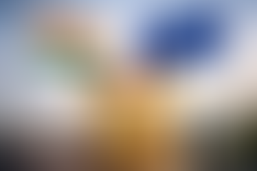 India and EU Commit to Five-Year 'Most Favoured Nation' Obligations under FTA