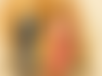 Cyprus Parliamentary Delegation Calls on President Murmu