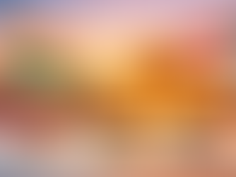 India Hosts Austria's Federal Chancellor for High-Level Talks Next Week