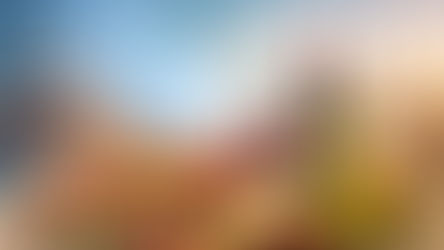 Inside the India–EU FTA: How Food & Agriculture Tariffs Are Being Opened—Selectively