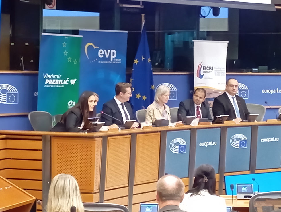 High-level opening session at the European Parliament