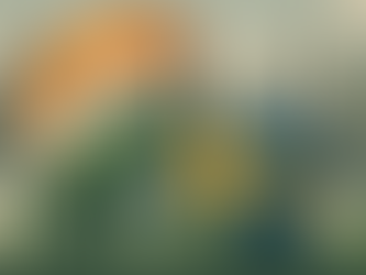 India and Sweden Advance Industrial Transition Cooperation