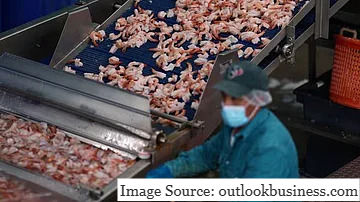 India’s Seafood Sector Gets Fresh Momentum as Europe Opens a Wider Trade Window