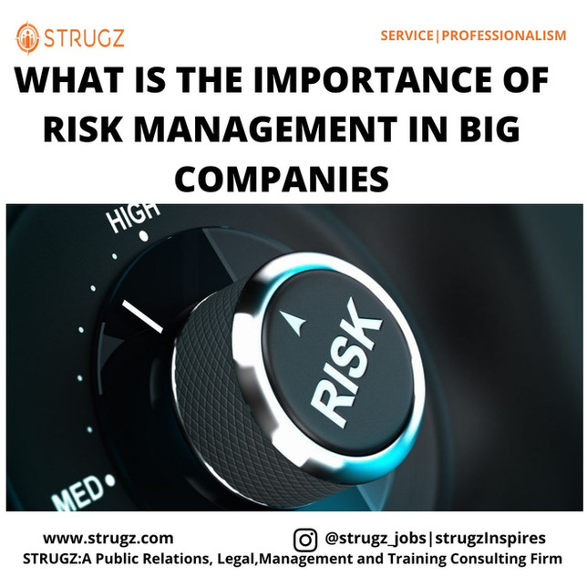 WHAT IS THE IMPORTANCE OF RISK MANAGEMENT IN BIG COMPANIES