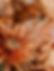 Bildschirmfoto 2025-03-06 um 16.58.09.png
