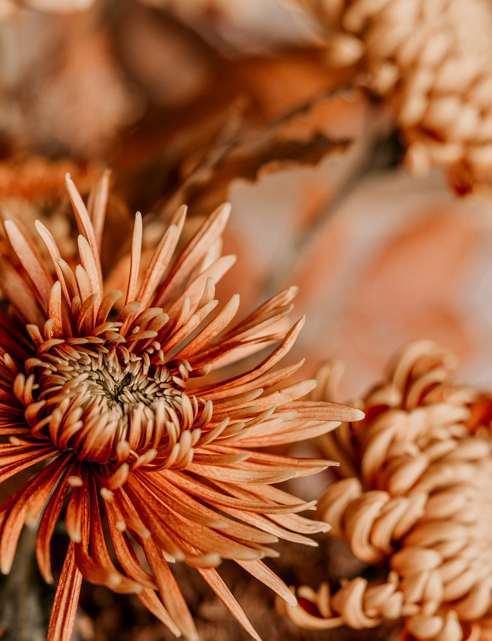 Bildschirmfoto 2025-03-06 um 16.58.09.png