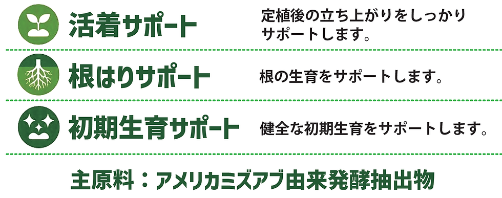 特長.png