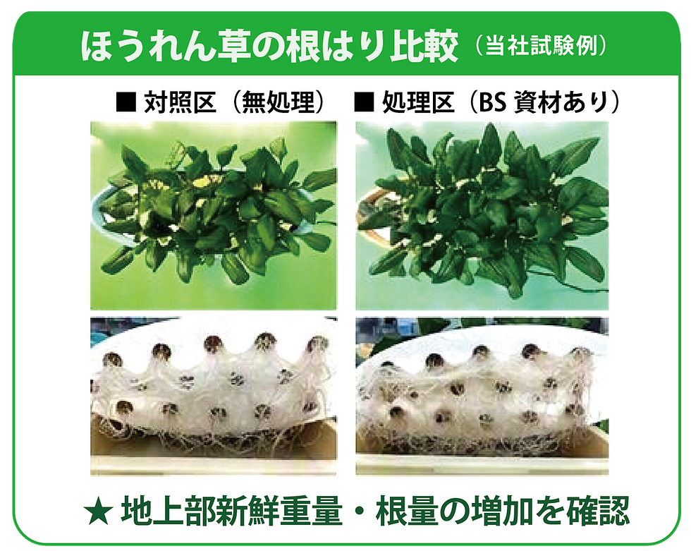 ほうれん草.png