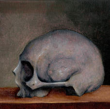 Skull Study