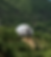 Moon Dome