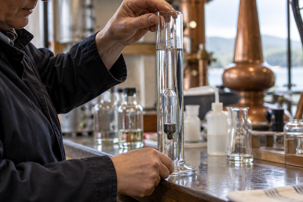 Spirit strength measured with a hydrometer in a distillery laboratory