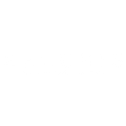 selenis constructions logo 