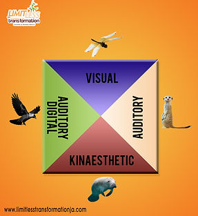 LIMITLESS SQUARE DESIGN-final_edited.jpg