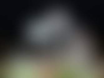 Jim Melis wins at PDTR