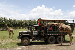 Ponderosa Adventure Park