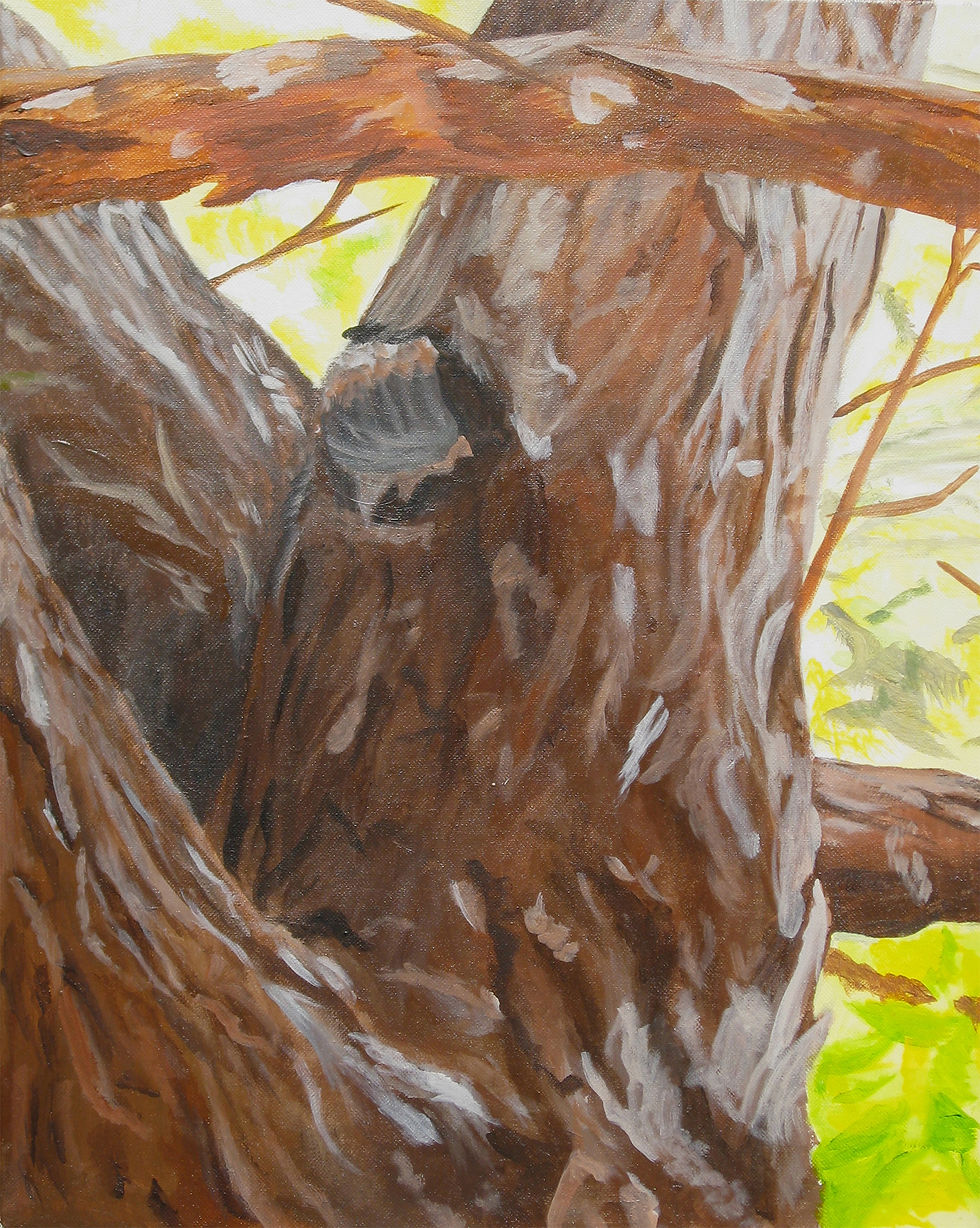 Bark Study Series: #1