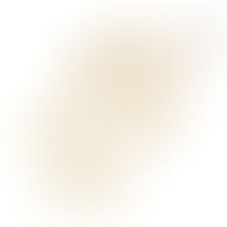 新作アパレル発売のお知らせ