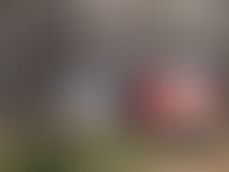 La forêt face au risque d'incendie : comment les travaux forestiers préventifs font la différence. Prévention Incendie & Travaux Forestiers en Sologne | Entretien & Curage