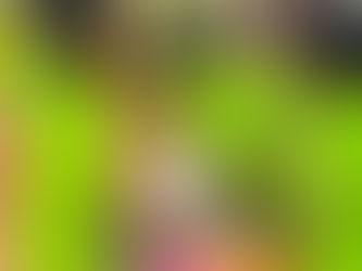 Happy Hearts and Happy Minds, DCI's 2024 Christmas camp was amazing!!