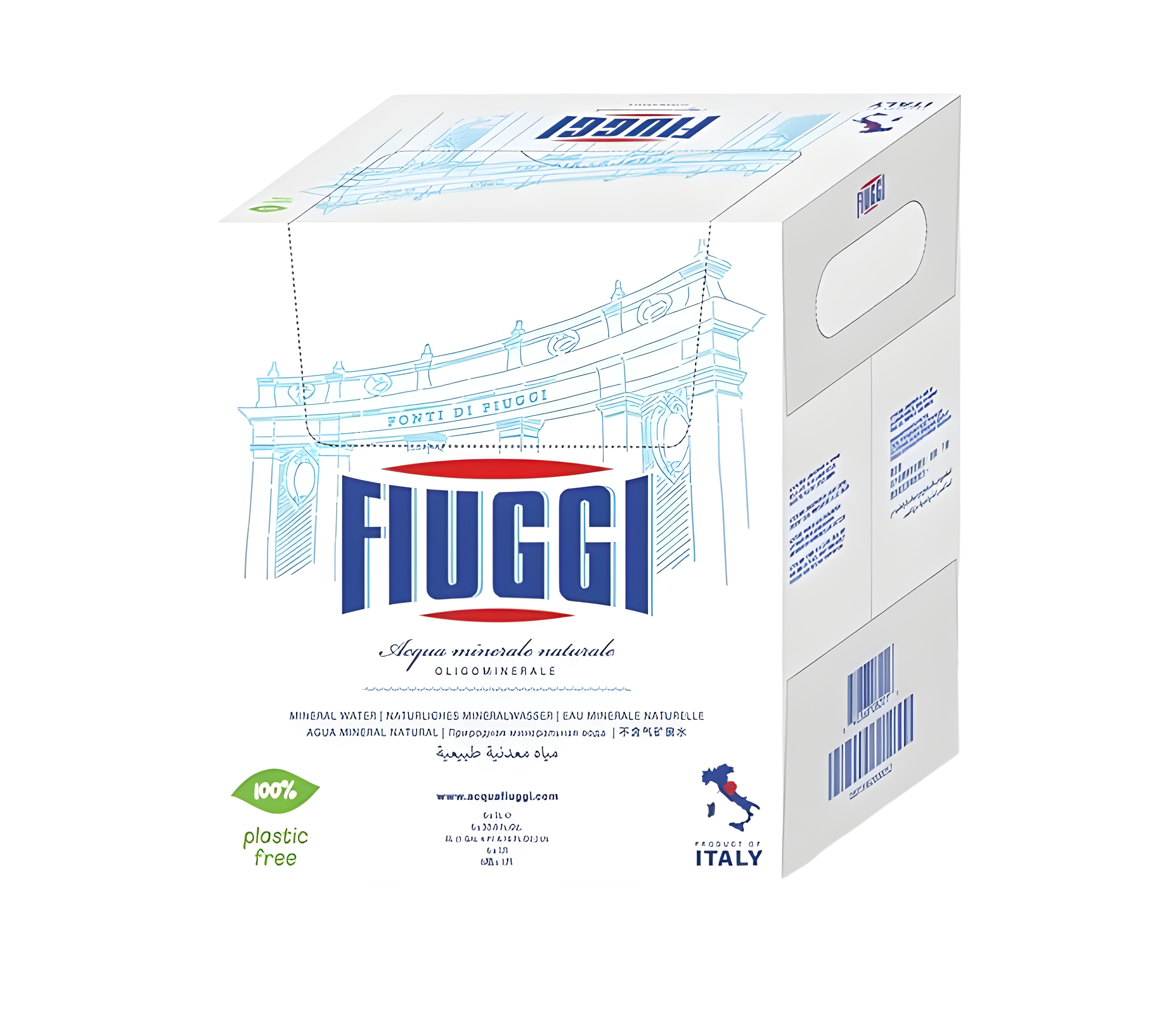 Fiuggi Still Natural Mineral Water - From Italy (6 x 1L Glass bottles)