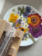 Botanical flower press with several dried blooms arranged on a plate — capturing the delicate beauty of nature preserved for resin jewellery making.