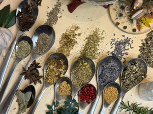 A top-down view of several wooden spoons arranged on a light wooden board, each holding different herbs and spices. From left to right, the spoons contain rosemary, anise, chamomile, ginger powder, rue, pink peppercorns, lavender, mustard seeds, and mugwort. Some herbs have gently spilled in front of the spoons, creating a natural and organic texture. On the right edge of the image, part of a garlic bulb is visible, adding a rustic touch to the warm, earthy scene