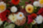 Late summer blooms sourced from Philly Floral Guild. Photographed by Paige Kowal Photography